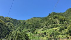 黃山風景美如畫